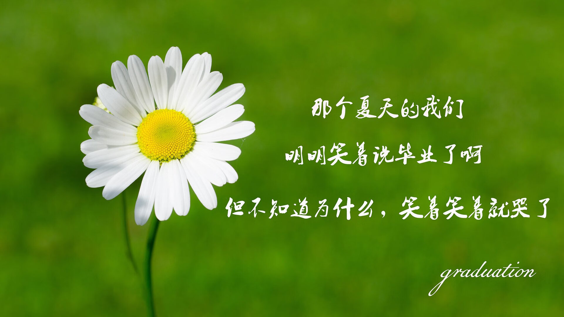 _城市跑酷训练营:城市天际线的极限挑战_,城市天际线官方下载
