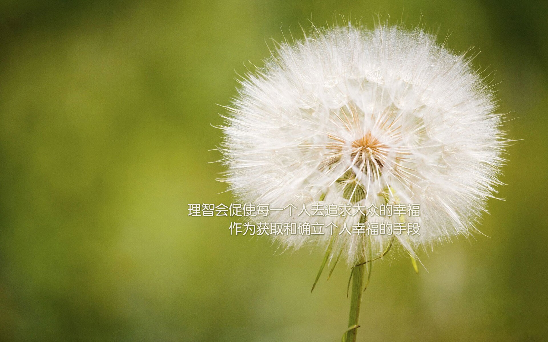 《《堡垒之夜》发布全新动画皮肤,玩家抢购一空》,堡垒之夜新动作