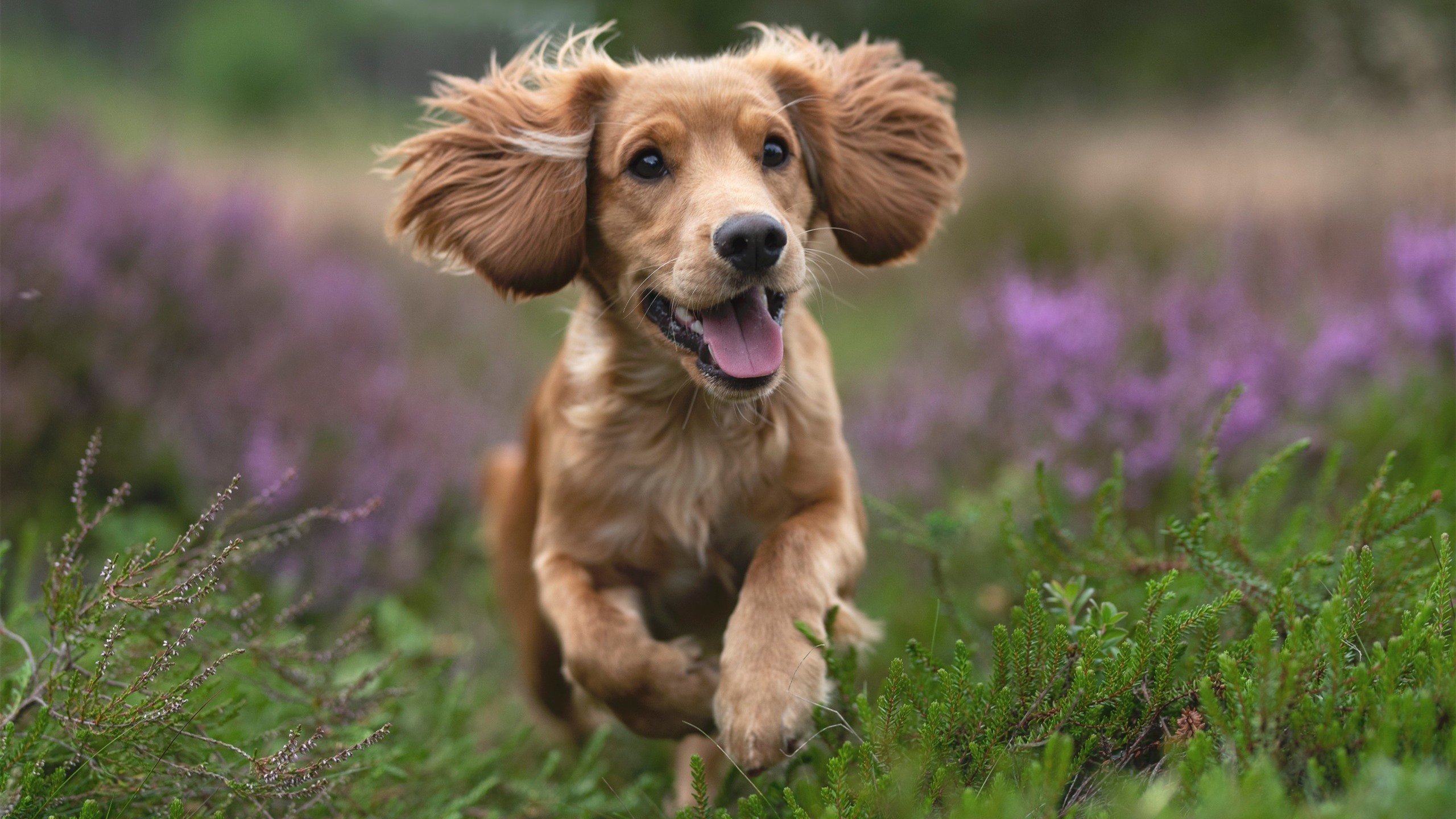 国足启用无人机战术分析设备，无人机跟踪航拍足球