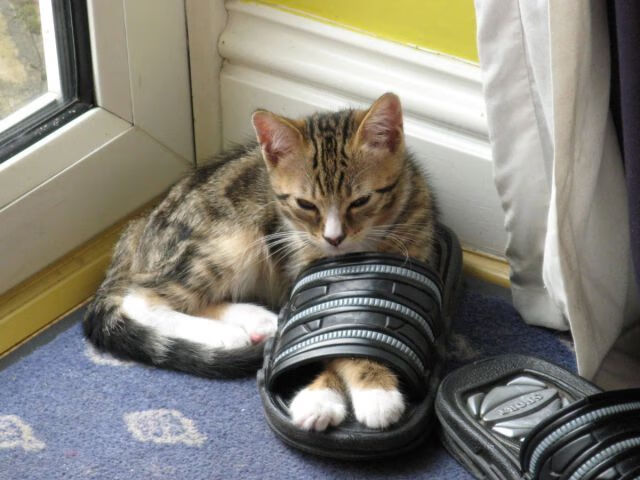 国王发布“城市之光”主题球衣,致敬萨克拉门托夜景,城市之光进行曲萨克斯