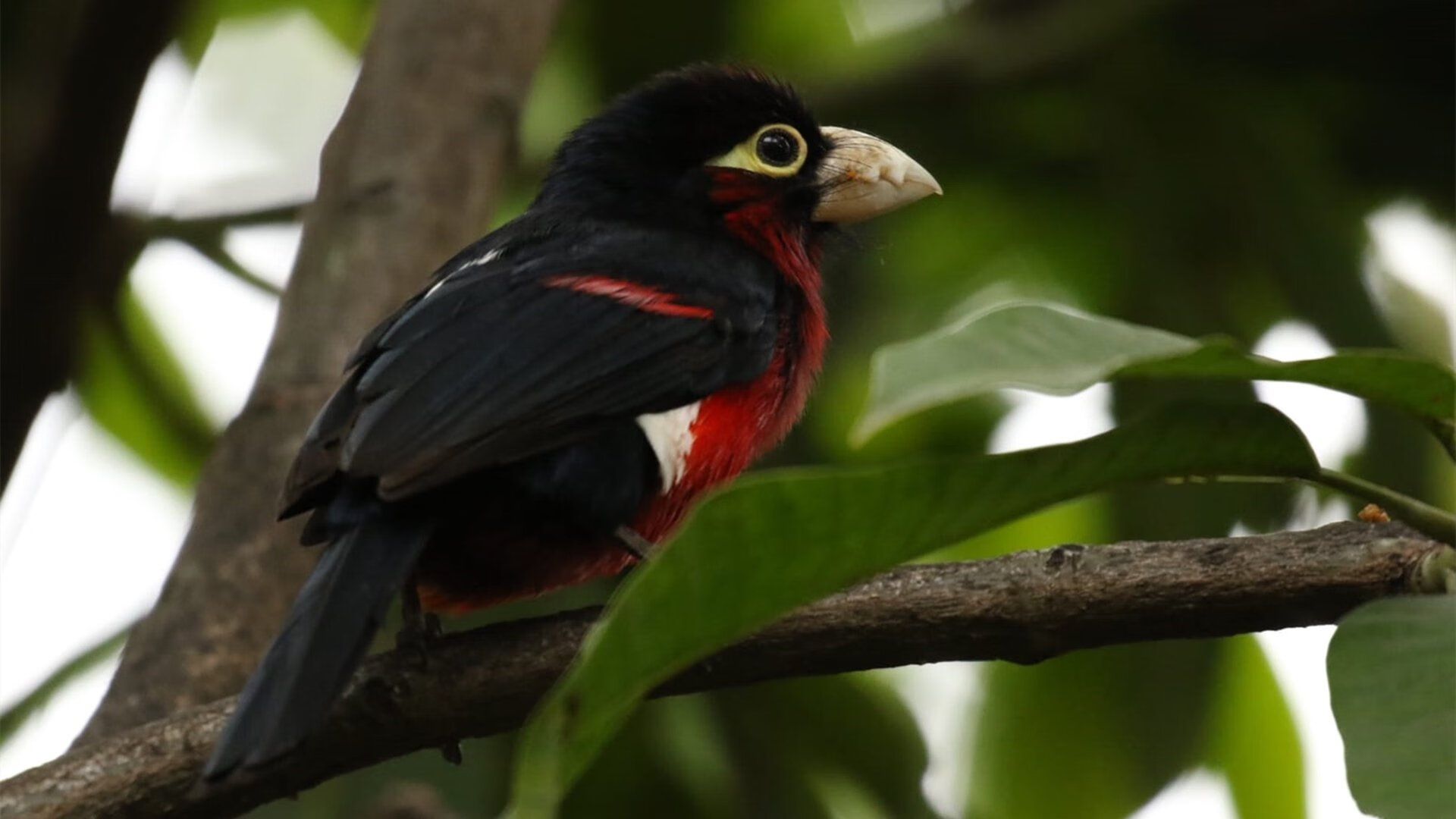 《年度电竞盛典:从开幕到闭幕的精彩回顾》,年度电竞游戏盛典